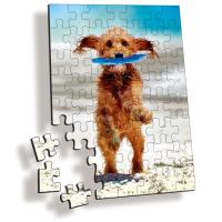 Buy cheap PLASTIC LENTICULAR cheap kids toy plastic 3d puzzle pp pet customized 3d product