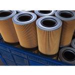 Diesel Fuel Filter 2011117040A SN21044 for tractor