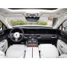 Buy cheap Left Steering EV Luxury Cars SUV Hongqi E-HS9 High Speed Electric 5 Door Cars from wholesalers