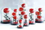 Wholesale New Design Preserved flower Eternal Rose in Glass Home Decoration