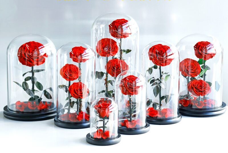 Preserved Flower Eternal Rose in Glass Long Lasting Flowers Home Decoration Everlasting Flowers
