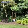 Buy cheap Outdoor garden shaped geometric cube weather resistant steel sculpture from wholesalers