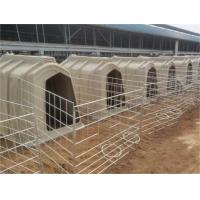 Buy cheap Rotational Molding Products for Customized Shapes and color PE Materia  Rotomolding Calf hutch product