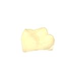 Biocompatible Permanent Crown Bridge Resin For Superior Restorations