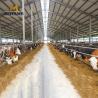 Buy cheap Low Cost Steel Prefabricated Modern Poultry Farm Shed from wholesalers