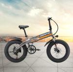 Aluminum 350W 36V 20 Inch Fat Tyre Folding Electric Bike