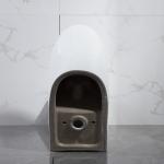 Glazed Ceramic Siphonic Dual Flush One Piece Toilet 12 Inch Rough In