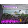 Buy cheap Aluminum Material LED Grow Lights , 100 Watt Grow Light Energy Saving from wholesalers