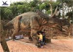 Realistic Full Size Dinosaur Models , Garden Artificial Life Size Dinosaur