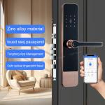 Digital Password Apartment Smart Door Lock TTLock Fingerprint IC Card Access