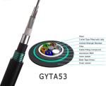 196 Cores Single Mode G652d Buried Underground Fiber Optic Cable Double Sheath