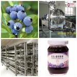 Beverage Fruit Juice Production Line Energy Saving 20T/H Large Capacity