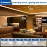Buy cheap Exterior Waterproof 12/24V Silicone LED Light Strip For Home Decor Neon LED Strip Lights White 16.4ft/5m Neon Light Strip 12V Silicone Waterproof from wholesalers