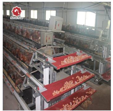 Buy cheap Good Elasticity Layer Chicken Cage Q235 Bridge Steel Chicken Battery Cage from wholesalers