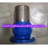 Buy cheap 150lb ANSI stainless steel screen cast iron flanged foot valve from wholesalers