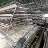 Buy cheap 2000 Birds A Frame Layer Cages Layer Poultry Equipment SGS Approved from wholesalers