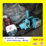 China Made Top Quality Hot Sale BW-150 Mud Pump for 600 m Depth