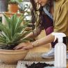 Buy cheap 500ml Plastic Transparent Cylindrical Clear Bottle With White Spray For empty Spray Bottle from wholesalers