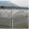 Buy cheap Transparent Glass Tunnel Multispan Greenhouse Plant Cultivation from wholesalers