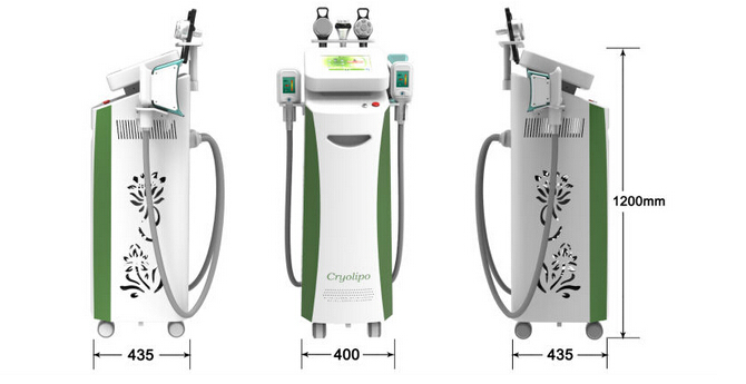 New style 5 handles multifunctional 3 in 1 cryolipolysis slimming machie