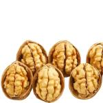 China walnuts Factory Supplier Wholesale Healthy inshell Organic walnuts Food