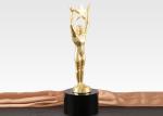 260mm Height Custom Metal Trophies , Sports Competition Custom Trophy Awards