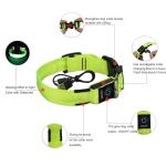 C906 Wholesale Rechargeable Orange Illuminated Dog Leash and Collar