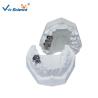 Buy cheap Producing Steps Of Marilan Bridge Dental Study Models For Teeth Teaching from wholesalers