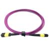 Buy cheap OFNP MPO Patch Cable from wholesalers
