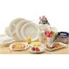 Buy cheap 100% Biodegradable Compostable Sugarcane Pulp Packaging Disposable Paper Plate from wholesalers