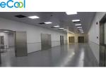 Modern Facility Low Temperature Cold Storage for Pork Processing Factory