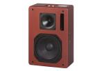 10 inch main channel 5.1 home theater ktv speaker system QS10