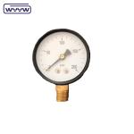 pressure gauge for swimming pool filter 2" Dial, 0-60 Psi, Bottom Mount 1/4"