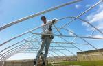 Galvanized Steel Frame Tunnel PE Film Greenhouse Single Span For Agriculture