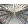 Buy cheap Collecting Egg Livestock Farming Equipment Automatic Poultry Farm Equipment from wholesalers