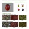 Buy cheap Mini Belt Cranberry Blueberry Color Sorter High Coffee Cherry Color Sorter Machine from wholesalers