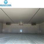 Industrial Logistics Fish Freezer Construction for Frozen Food Seafood Meat