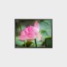 Buy cheap 34.3 Inch Square LCD Panel 1856*1420 1500 Nits Display LCD Module from wholesalers