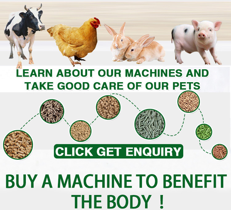 Small Scale Fish Food Pellet Machine Diesel Engine Manual Model