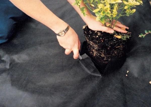 Buy cheap Rainy Season Pp Non Woven 90gsm Heavy Duty Weed Barrier from wholesalers