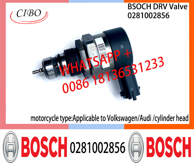 BOSCH DRV Valve 0281002856 Control Valve 0281002856 for Applicable to Volkswagen/Audi /cylinder head