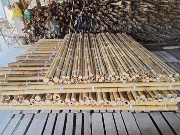 Quality 18mm To 160mm Diameter Bamboo Cane Moso Bamboo Pole Construction Agriculture for sale
