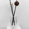 Buy cheap Round Glass Aromatherapy Reed Diffuser Bottles Perfume Rectangle Glass Bottle with Caps from wholesalers