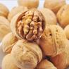 Buy cheap Wholesale Xinjiang xin2 high-quality walnuts exported to Southeast Asia OEM ODM Amazon’s best-selling products from wholesalers