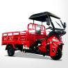 Buy cheap 250cc Motorized Adult Tricycles Cargo Petrol Tanzania Motor Tricycle Manufacturers from wholesalers