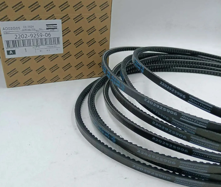 High Quality Atlas V-Belt 2202925906 Filter Parts for Screw Air Compressors Wholesale Metal and Aluminum Material