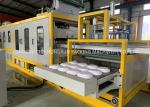 Food Packaging Plastic Container Production Line , automatic PS foam plate