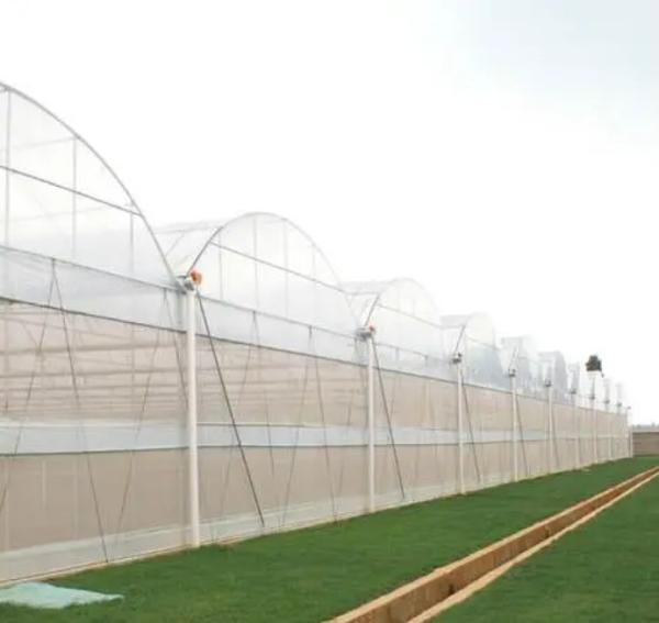 Buy cheap 30-Day Return Guarantee Anti-Drip Fogging Double-Film Greenhouse Structure jx-fg-001 from wholesalers