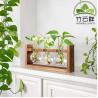 Buy cheap Customized Wood Stand Rack Tabletop Terrarium for Hydroponic Plants Cuttings Office Home Decoration, Gift for Plant Lover from wholesalers