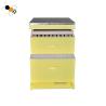 Buy cheap Painted 10 Frames Bee Farm 2 Layers Langstroth Beehive from wholesalers